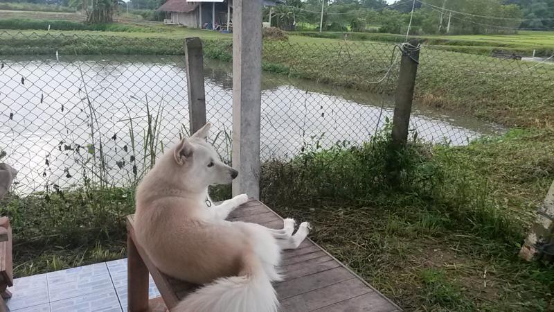 post-42398-0-10741400-1439389143_thumb.j