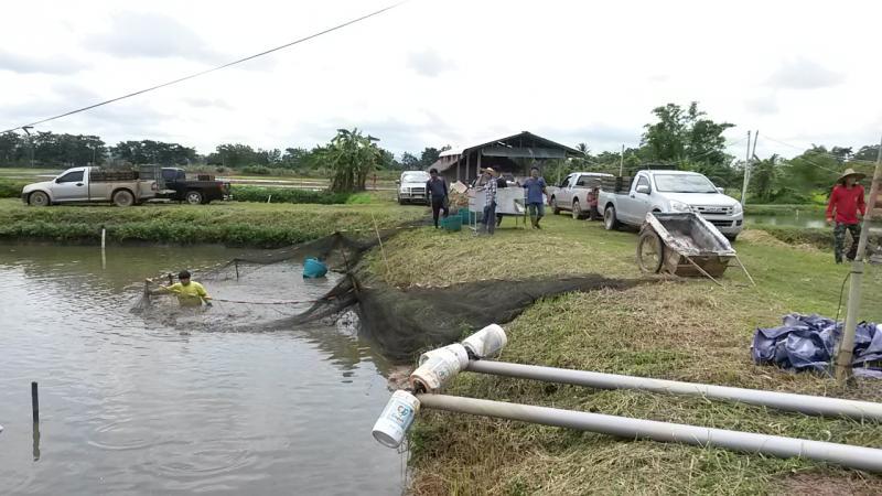 post-42398-0-12096600-1439389148_thumb.j