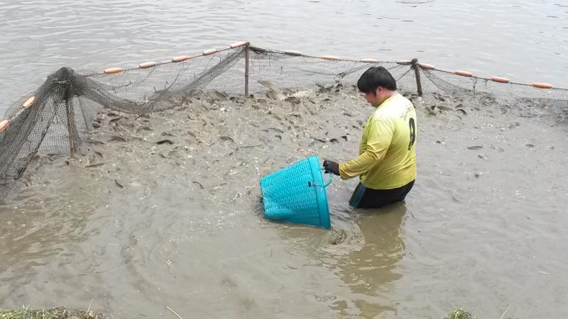 post-42398-0-17854000-1439389205_thumb.j