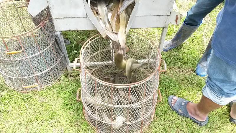 post-42398-0-31488500-1439389189_thumb.j