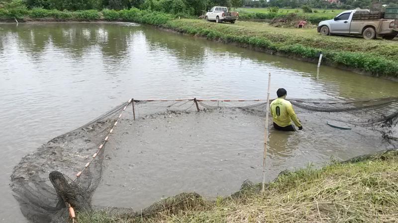 post-42398-0-46554100-1439389160_thumb.j