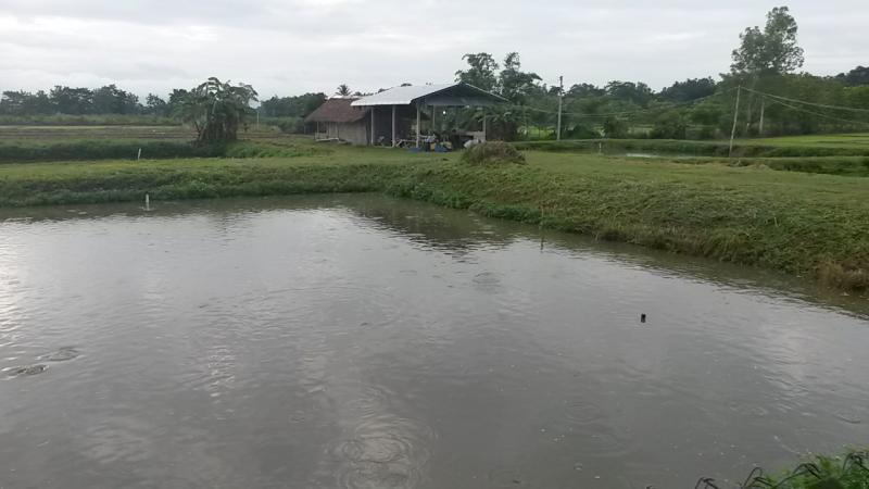 post-42398-0-53071200-1439389127_thumb.j