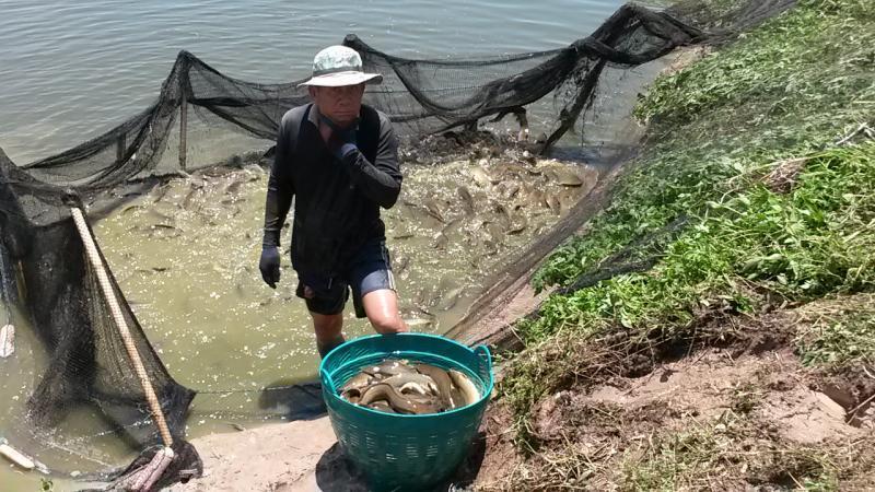 post-42398-0-58584300-1439389234_thumb.j