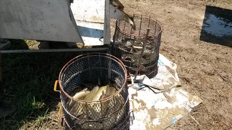 post-42398-0-92331800-1439389252_thumb.j