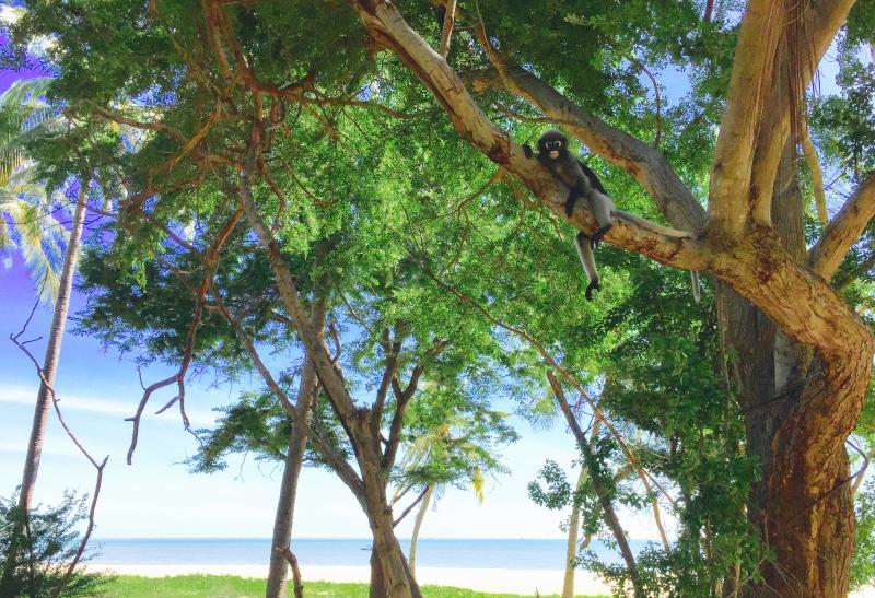 post-52121-0-90734600-1439879652_thumb.j