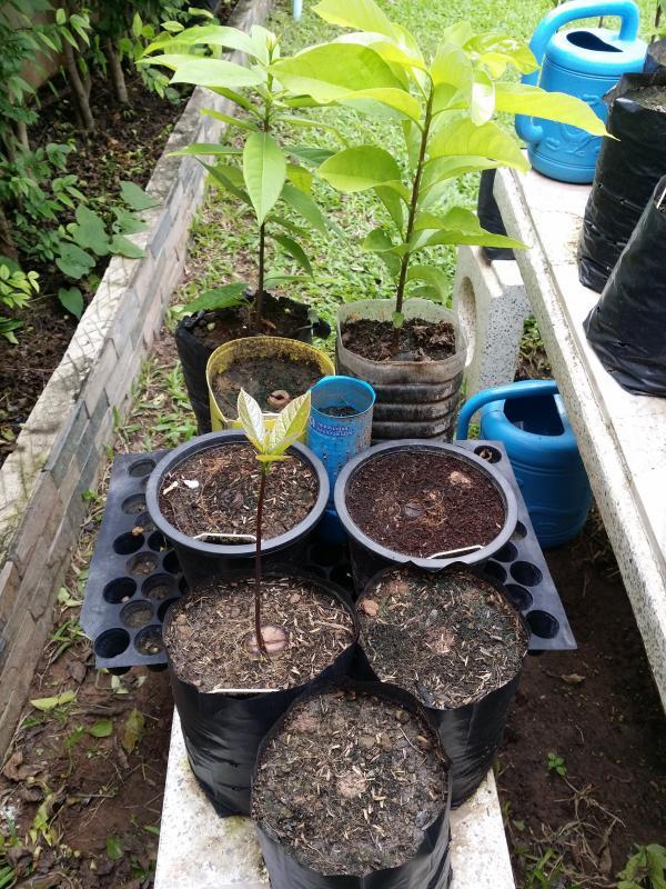 post-55492-0-37496400-1439612720_thumb.j