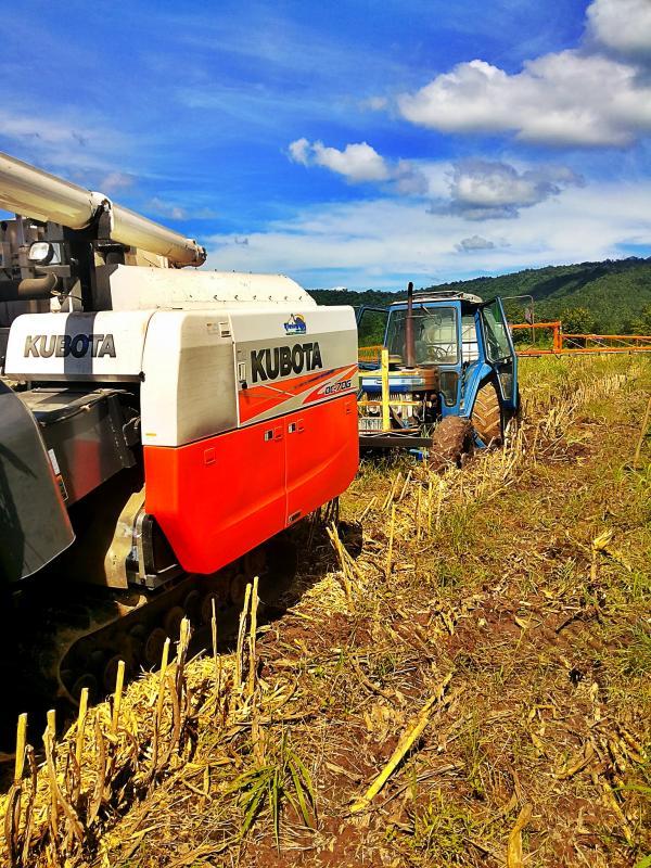 post-68260-0-04564600-1440487432_thumb.j