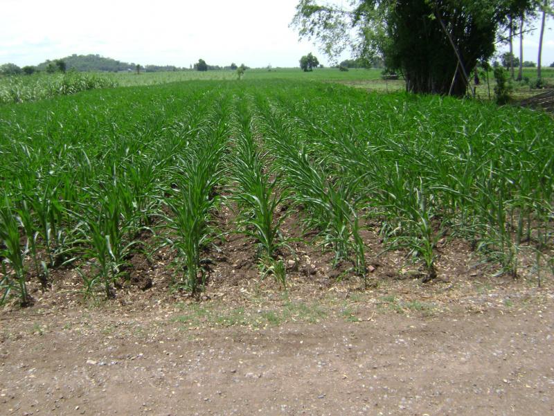 post-77463-0-03074600-1440911424_thumb.j