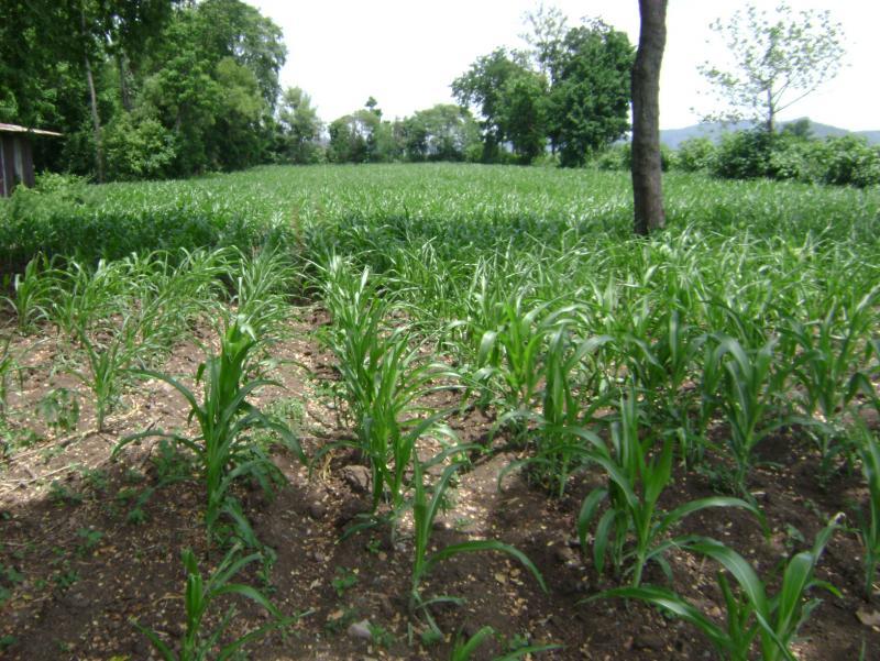 post-77463-0-24747800-1440911393_thumb.j