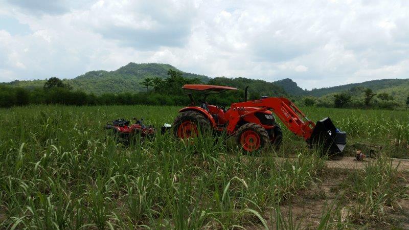 post-80031-0-07704100-1439083125_thumb.j