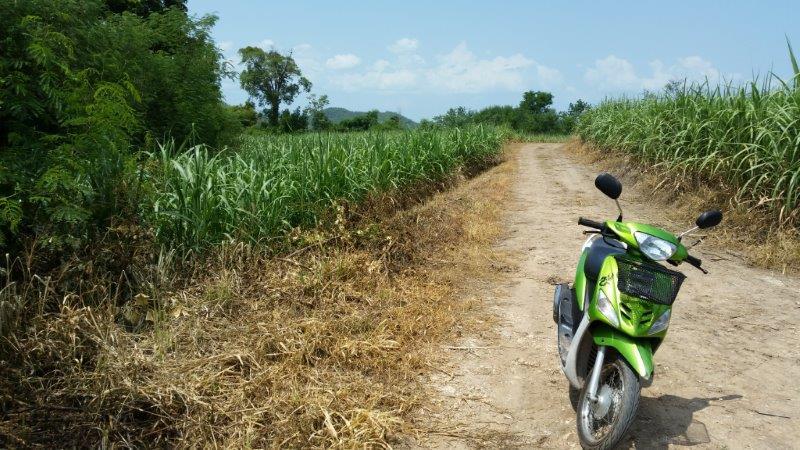 post-80031-0-09838100-1439025149_thumb.j