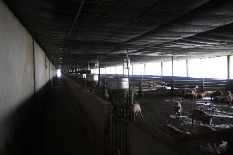 post-80031-0-18617900-1439442278_thumb.j