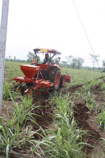 post-80031-0-26727500-1439441120_thumb.j