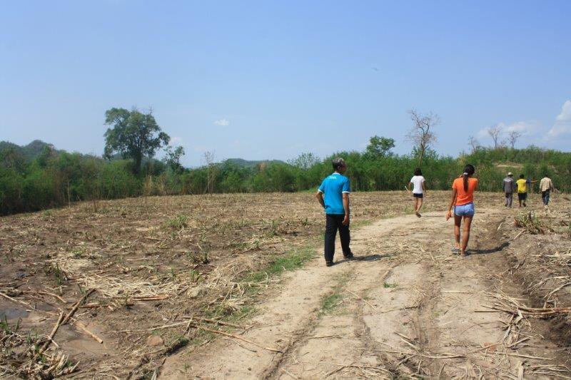 post-80031-0-40693500-1439442046_thumb.j