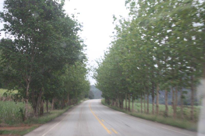 post-80031-0-44752500-1439442813_thumb.j