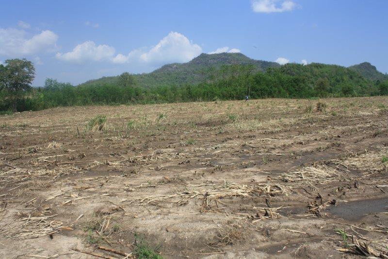 post-80031-0-45076900-1439441540_thumb.j