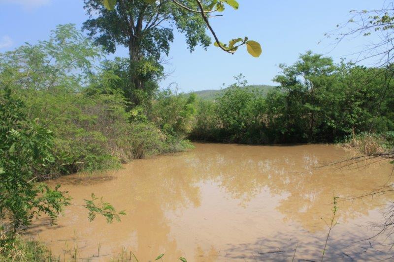 post-80031-0-58921800-1439442165_thumb.j