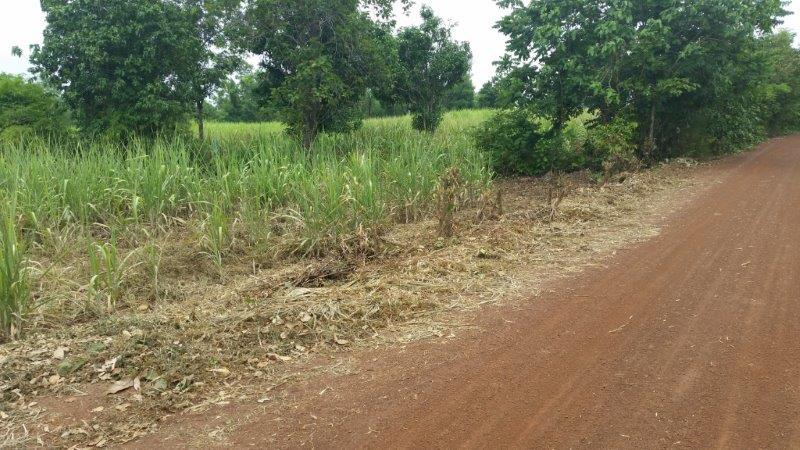 post-80031-0-66347600-1439082508_thumb.j