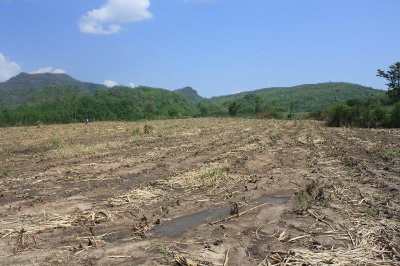 post-80031-0-66604800-1439441825_thumb.j