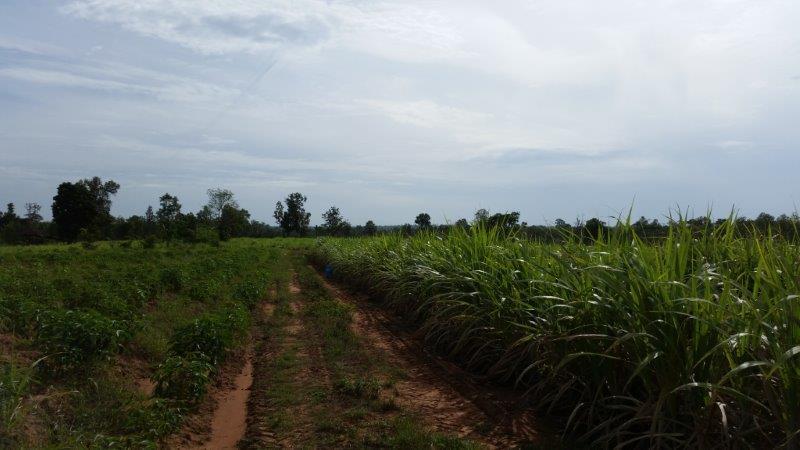 post-80031-0-77454100-1439025312_thumb.j