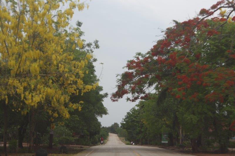 post-80031-0-81217600-1439442890_thumb.j