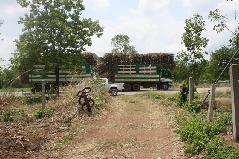 post-80031-0-95926500-1439440630_thumb.j