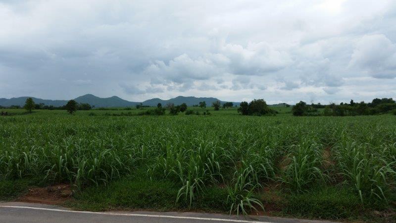 post-80031-0-97400500-1439025900_thumb.j