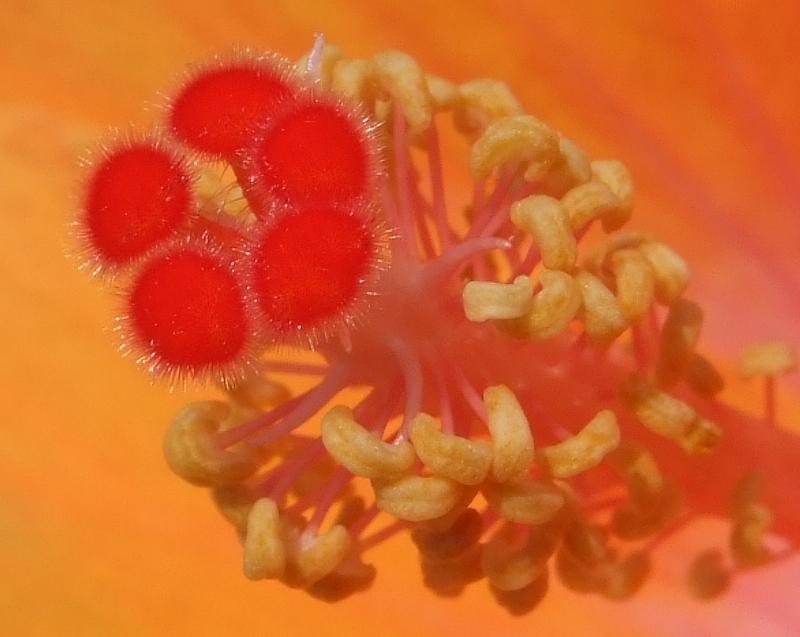 post-81532-0-46527800-1439618497_thumb.j