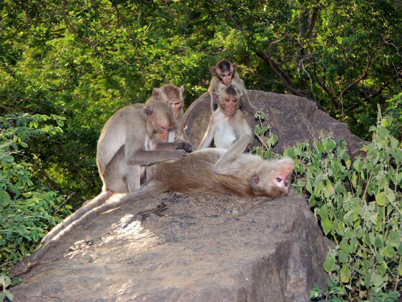 post-93078-0-16329500-1440153679_thumb.j