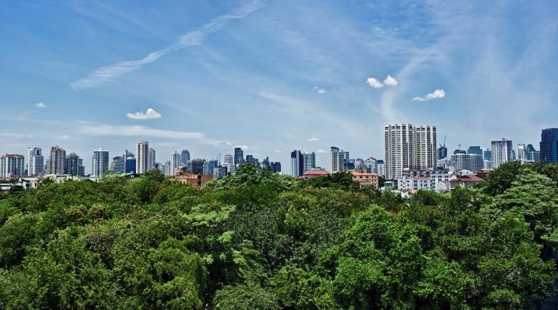 post-93078-0-37840200-1439795116_thumb.j