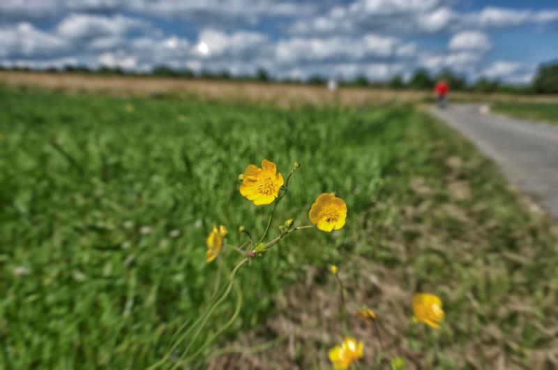 post-93078-0-98218900-1438671855_thumb.j