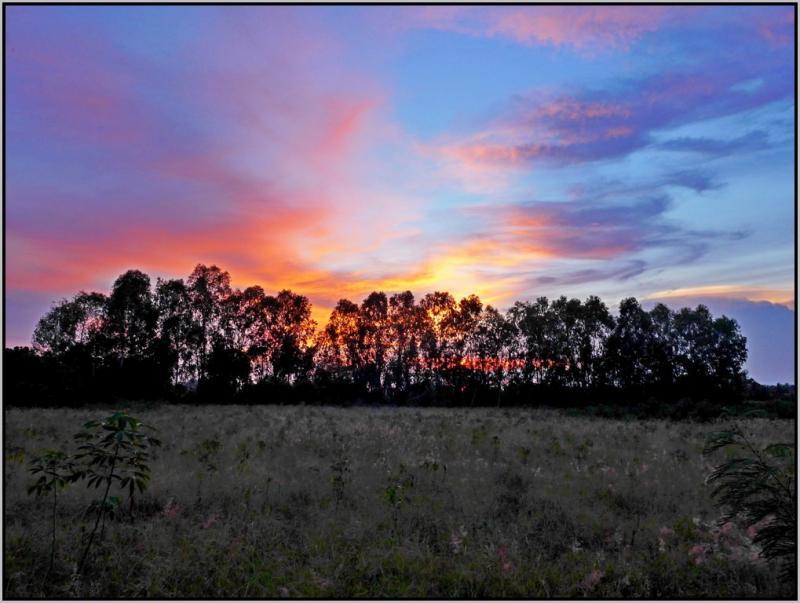 post-9958-0-29682500-1439965161_thumb.jp