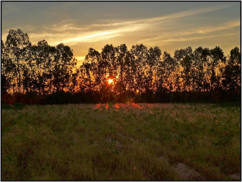 post-9958-0-62365600-1439965203_thumb.jp