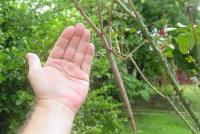 post-17093-1221878384_thumb.jpg