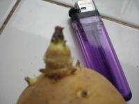 post-41116-1222786438_thumb.jpg