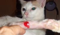 post-46666-1222019882_thumb.jpg