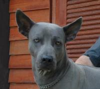 post-56298-1220326039_thumb.jpg