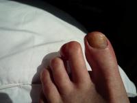 post-101376-019680900 1285501274_thumb.j