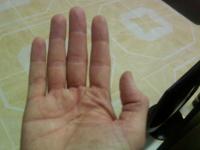 post-4090-060988400 1283351259_thumb.jpg