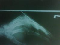 post-4090-092209100 1283351285_thumb.jpg