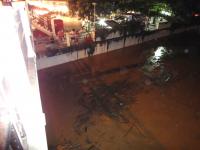 post-42592-065553400 1285690687_thumb.jp