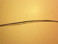 post-498-083004600 1285511298_thumb.jpg