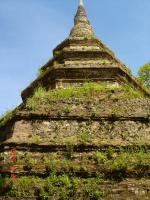 post-53208-032032900 1283899977_thumb.jp