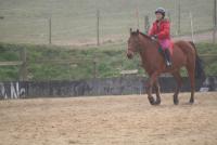 post-749-049733400 1283903134_thumb.jpg