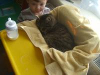 post-1041-0-10499500-1315511133_thumb.jp