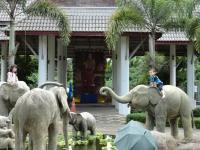 post-110702-0-47462600-1317035205_thumb.