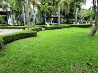 post-110702-0-92804800-1317032801_thumb.