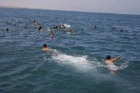 post-15852-0-34247500-1315836176_thumb.j