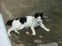 post-15958-0-38119800-1315466272_thumb.j