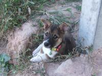 post-15958-0-83288700-1315205231_thumb.j